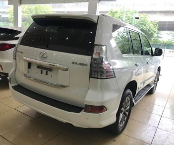 Lexus GX 460 2017 - Bán Lexus GX460 màu trắng, sản xuất năm 2017 đăng ký cá nhân