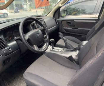 Ford Escape 2010 - Bán Ford Escape sản xuất năm 2010, màu xám