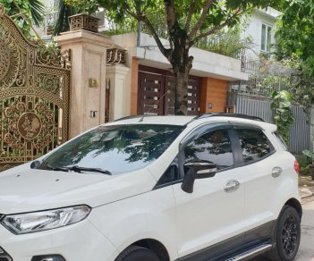 Ford EcoSport Titanium  2016 - Bán xe Ford EcoSport sản xuất năm 2016, màu trắng, 1 chủ, giá thương lượng