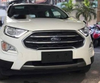 Ford EcoSport 2019 - Bán Ford EcoSport sản xuất năm 2019, màu trắng, nhập khẩu 