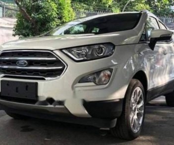 Ford EcoSport 2019 - Bán Ford EcoSport sản xuất năm 2019, màu trắng, nhập khẩu 