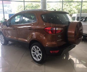 Ford EcoSport  Titanium 1.5L 2019 - Bán xe Ford EcoSport Ecosport Titanium 1.5L sản xuất 2019