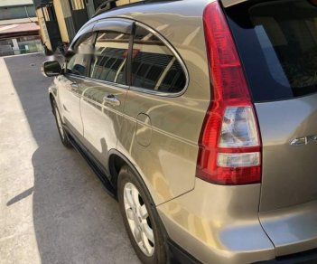 Honda CR V 2009 - Cần bán xe Honda CR V sản xuất năm 2009, màu xám