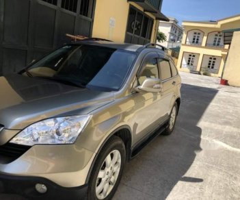 Honda CR V 2009 - Cần bán xe Honda CR V sản xuất năm 2009, màu xám