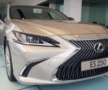Lexus ES 250   2019 - Bán Lexus ES 250 đời 2019, màu vàng cát, nhập khẩu