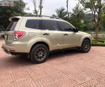 Subaru Forester 2010 - Cần bán xe Subaru Forester 2010, màu vàng, xe nhập