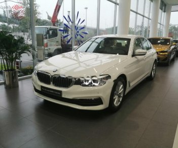 BMW 5 Series 520i 2018 - Bán xe BMW 520i năm 2018, màu trắng, xe nhập