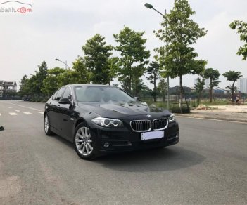 BMW 5 Series 520i 2016 - Bán BMW 520i đời 2016, màu đen, nhập khẩu 