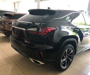 Lexus RX  350 2019 - Bán xe Lexus RX350 sản xuất 2019 new tag 100% mới zin, xe sẵn giao ngay