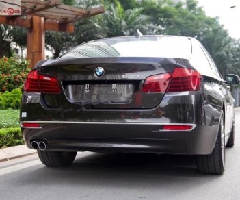 BMW 5 Series 528i 2015 - Bán BMW 528i sản xuất năm 2015, màu nâu, nhập khẩu