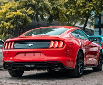 Ford Mustang 2.3 Ecoboost Premium 2019 - Giao ngay Ford Mustang 2.3 Ecoboost Premium 2019, màu đỏ, nhập Mỹ mới 100%