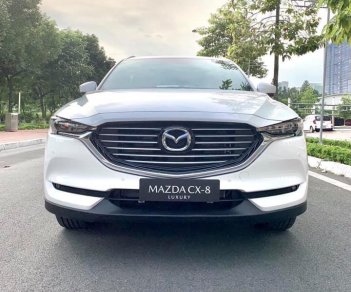 Mazda Mazda khác 2019 - Mazda CX8 khẳng định đẳng cấp, đang dần tiến đến vị trí đứng đầu trong dòng xe 7 chỗ