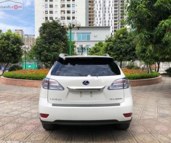 Lexus RX 450h 2009 - Bán Lexus RX 450h 2009, màu trắng, nhập khẩu