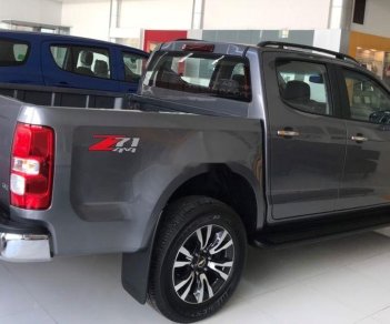 Chevrolet Colorado  2.5AT 4X4  2019 - Bán Chevrolet Colorado sản xuất 2019, màu xám, nhập khẩu