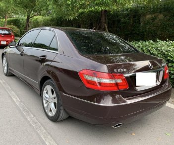 Mercedes-Benz E class 2010 - Cần bán Mercedes E250 năm 2010, màu nâu đăng ký 2011