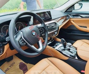 BMW 5 Series 530i 2019 - Bán BMW 5 Series 530i đời 2019, màu nâu