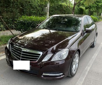 Mercedes-Benz E class 2010 - Cần bán Mercedes E250 năm 2010, màu nâu đăng ký 2011