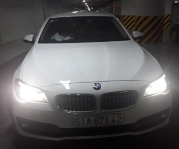 BMW 5 Series 520i 2014 - Bán xe BMW 5 Series 520i đời 2014, màu trắng, nhập khẩu