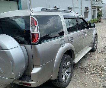 Ford Everest AT 2009 - Cần bán lại xe Ford Everest AT sản xuất 2009, màu bạc, nhập khẩu