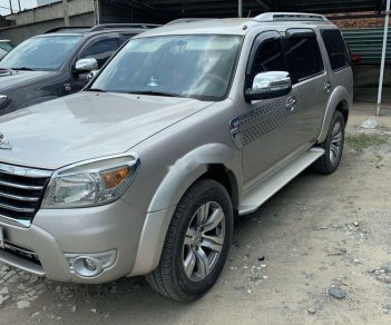 Ford Everest AT 2009 - Cần bán lại xe Ford Everest AT sản xuất 2009, màu bạc, nhập khẩu