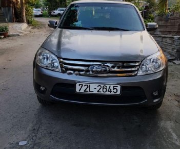 Ford Escape XLS 2.3L 4x2 AT 2010 - Bán Ford Escape XLS 2.3L 4x2 AT 2010, màu xám, số tự động, giá tốt