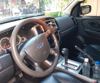 Ford Escape XLS 2.3L 4x2 AT 2010 - Bán Ford Escape XLS 2.3L 4x2 AT 2010, màu xám, số tự động, giá tốt