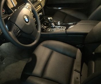 BMW 5 Series 520i 2015 - Cần bán xe BMW 5 series 520i đời 2015 tại Hà Nội