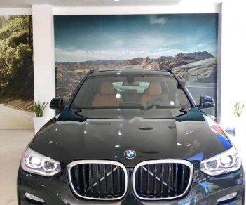 BMW X3 xDrive30i M Sport 2019 - Bán xe BMW X3 xDrive30i M Sport đời 2019, màu đen, nhập khẩu