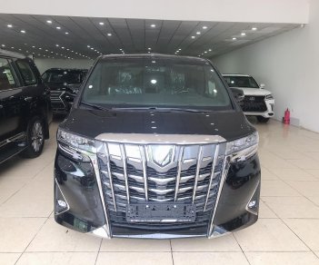 Toyota Alphard Excutive Lounge 3.5 2019 - Bán Toyota Alphard Executive Lounge sản xuất 2019, nhập khẩu châu Âu. Xe giao ngay