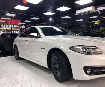 BMW 5 Series 520i 2015 - Bán BMW 5 Series 520i năm sản xuất 2015, màu trắng