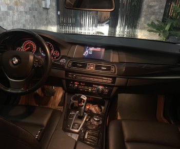 BMW 5 Series 520i 2016 - Bán BMW 520i đời 2016, 1 chủ chạy lướt, màu đen