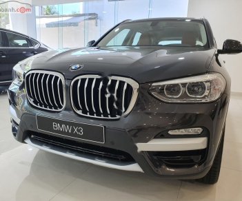 BMW X3   2019 - Bán BMW X3 năm sản xuất 2019, nhập khẩu  