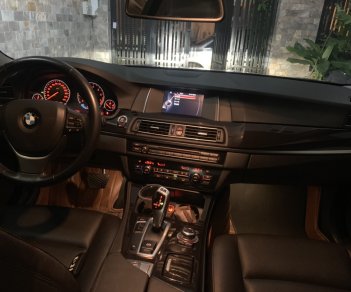 BMW 5 Series 520i 2015 - Xe BMW 5 Series 520i năm 2015, màu đen, nhập khẩu nguyên chiếc