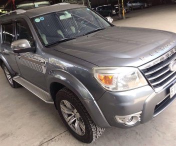 Ford Everest 2009 - Bán Ford Everest đời 2009, màu xám