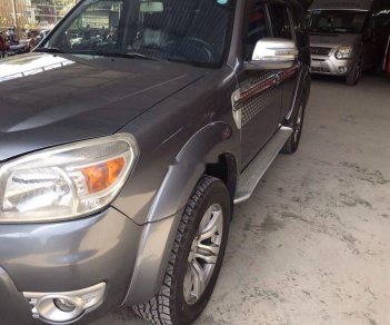 Ford Everest 2009 - Bán Ford Everest đời 2009, màu xám