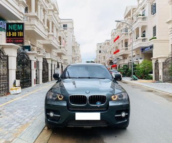 BMW X6   2010 - Bán BMW X6 đời 2010, nhập khẩu, 870 triệu