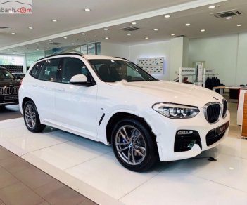 BMW X3 2019 - Cần bán BMW X3 xDrive20i đời 2019, màu trắng, xe nhập