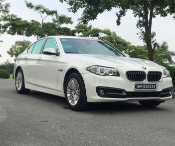 BMW 5 Series 2014 - Bán xe BMW 520i 2.0AT 2014 - 1 tỷ 79 triệu bao test hãng toàn quốc