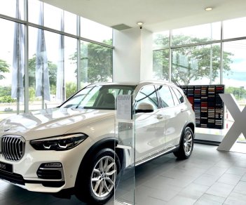 BMW X5 2019 - Bán xe BMW X5 đời 2019, trắng, nhập khẩu 100% từ Đức