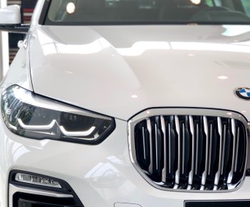 BMW X5 2019 - Bán xe BMW X5 đời 2019, trắng, nhập khẩu 100% từ Đức