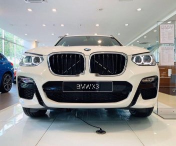 BMW X3 2019 - Bán ô tô BMW X3 2019, màu trắng, nhập khẩu nguyên chiếc