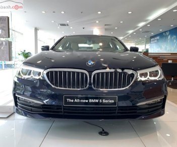 BMW 5 Series 520i 2019 - Bán xe BMW 5 Series 520i 2019, màu xanh lam, nhập khẩu