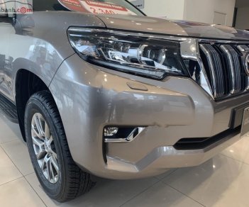 Toyota Land Cruiser Prado VX 2.7L 2019 - Bán Toyota Land Cruiser Prado VX 2.7L năm sản xuất 2019, màu ghi vàng, xe nhập