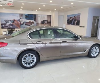 BMW 5 Series 520i 2019 - Bán BMW 5 Series 520i sản xuất năm 2019, màu xám, nhập khẩu nguyên chiếc