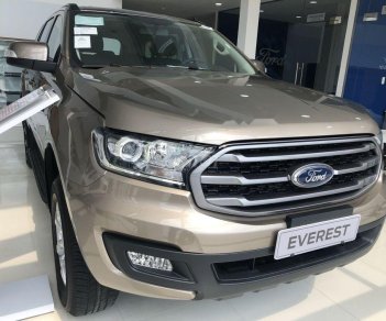 Ford Everest   2019 - Bán Ford Everest năm 2019, màu vàng, nhập khẩu  