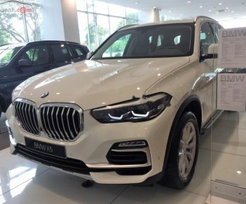 BMW X5 xDrive40i 2019 - Bán BMW X5 xDrive40i 2019, màu trắng, nhập khẩu  