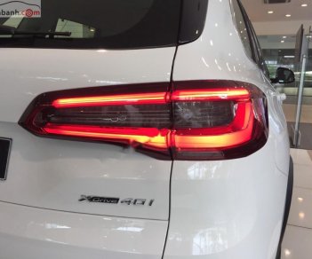 BMW X5 xDrive40i 2019 - Bán BMW X5 xDrive40i 2019, màu trắng, nhập khẩu  