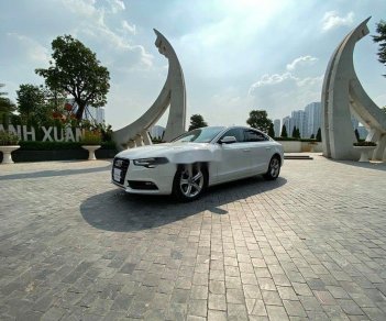 Audi A5   2014 - Bán Audi A5 sản xuất năm 2014, màu trắng, nhập khẩu  