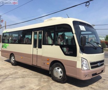 Hyundai County Limousnie 2019 - Bán Hyundai County Limousnie sản xuất 2019, màu kem (be)