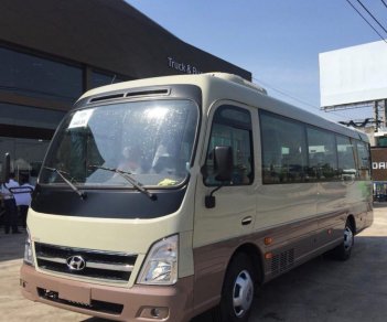 Hyundai County Limousnie 2019 - Bán Hyundai County Limousnie sản xuất 2019, màu kem (be)